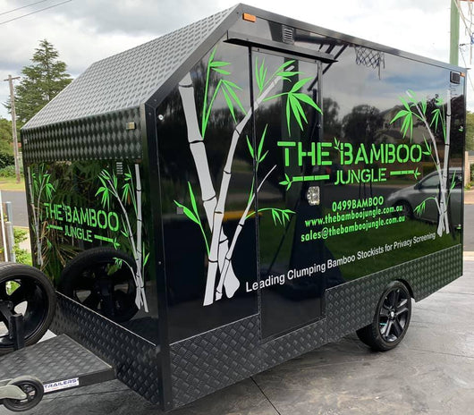 The Bamboo Jungle van